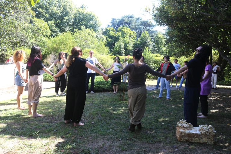 Serralves em Festa acolheu laboratório artístico sobre fungos